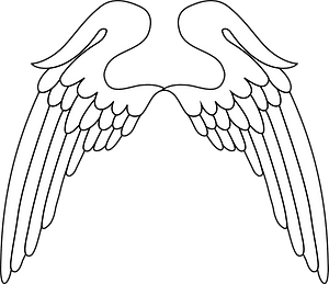 Wings