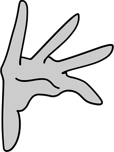 Woman hand gesture