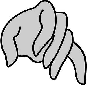 Woman hand gesture