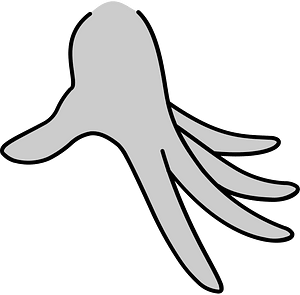 Woman hand gesture