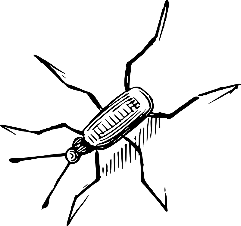 Bug