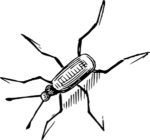 Bug