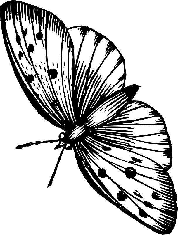 Метелик