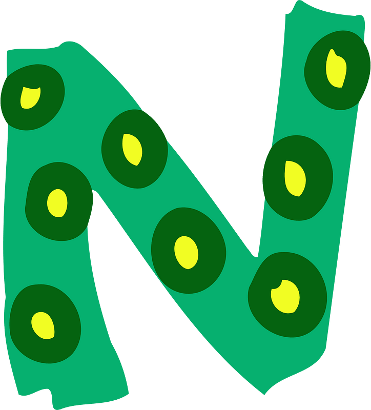 Colourful letter n