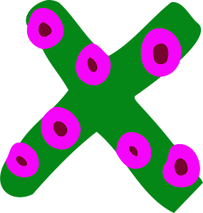 Colourful letter x