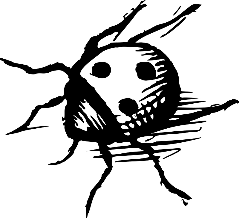 Insect