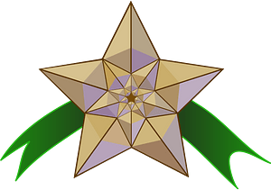 Star and stripe