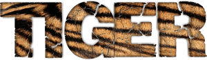 Tiger stylized lettering