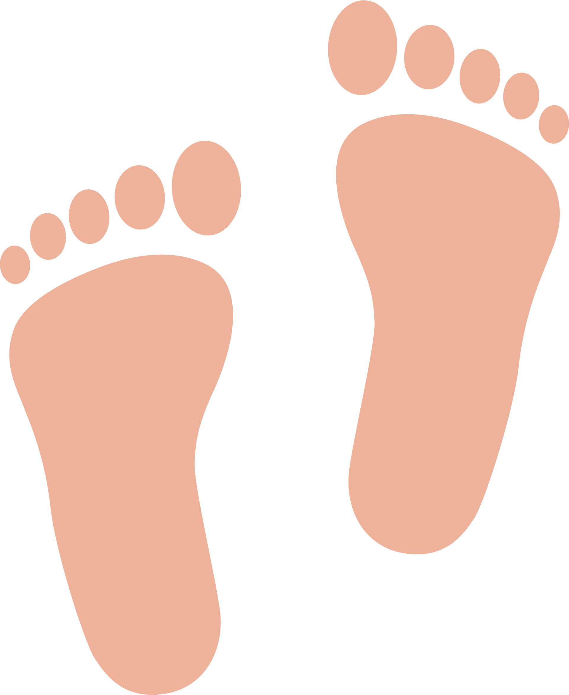 Download Footprint, Toes, Foot. Royalty-Free Vector Graphic