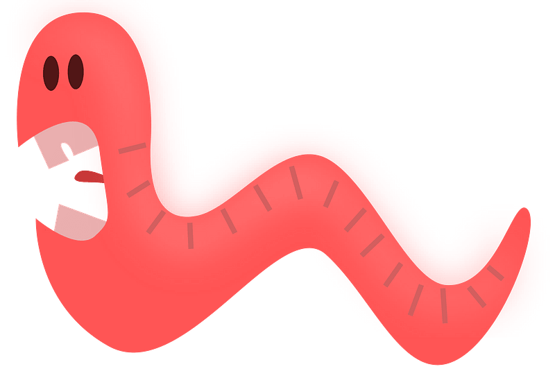 Worm