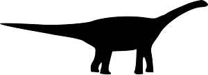 Basal sauropod silhouette