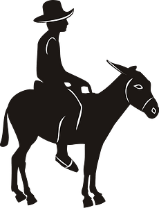 Donkey Rider icon