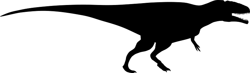Carcharodontosaurus 10