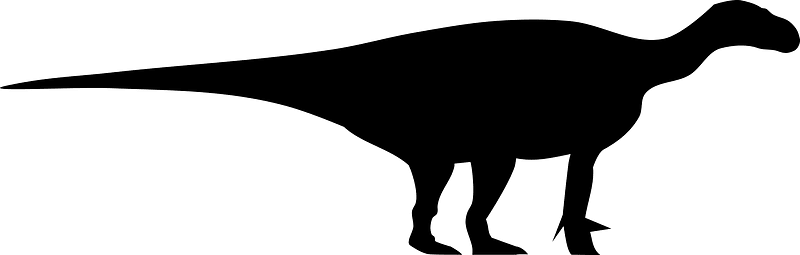Iguanodon Silhouette