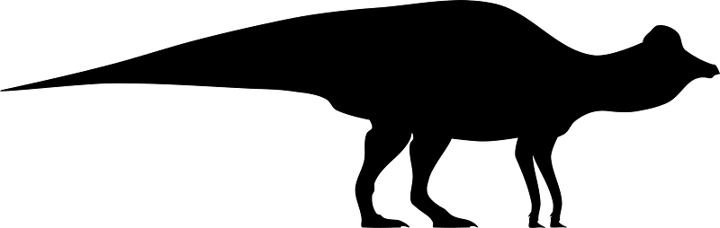 Hypacrosaurus Silhouette