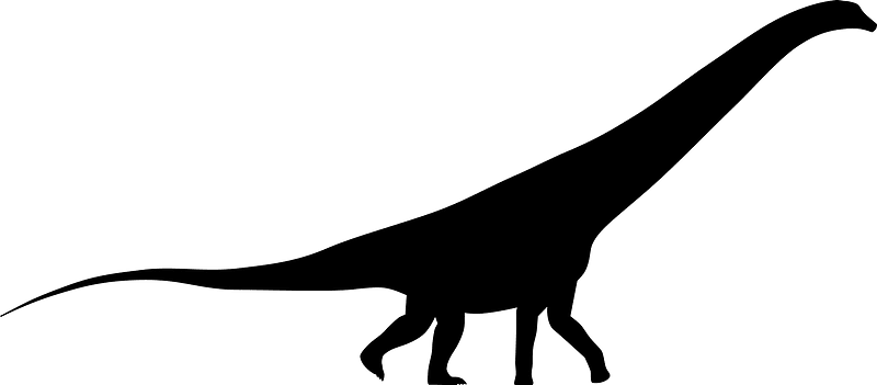 Futalognkosaurus Silhouette