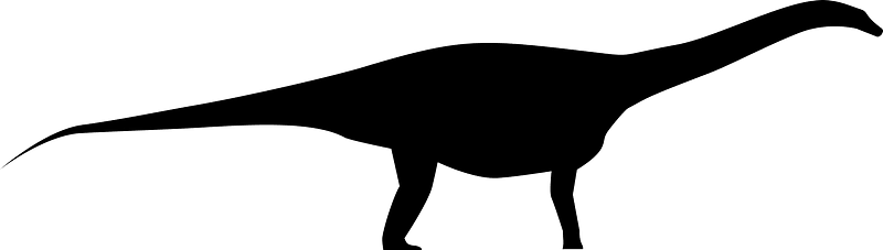 Opisthocoelicaudia Silhouette