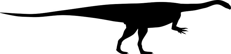 Massospondylus Silhouette
