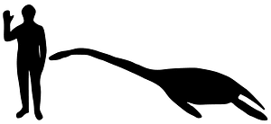 Size - Plesiosaurus