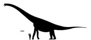 Brachiosaurus size