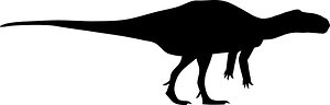 Zalmoxes Silhouette