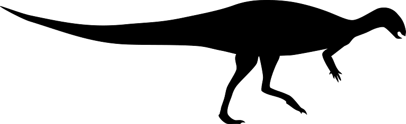 Dysalotosaurus Silhouette