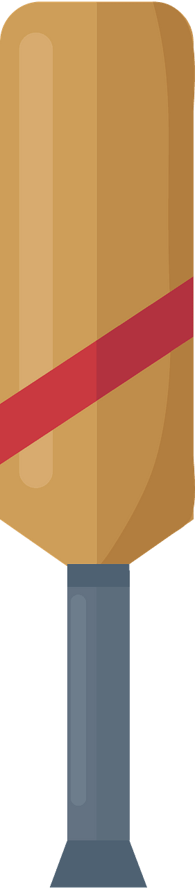 Kelelawar kriket