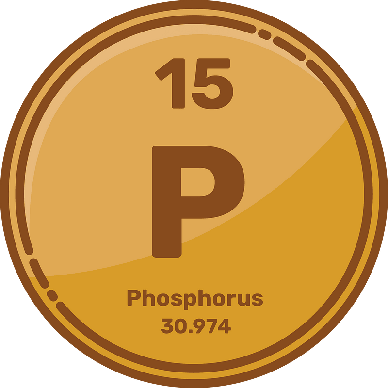 Phosphorus element