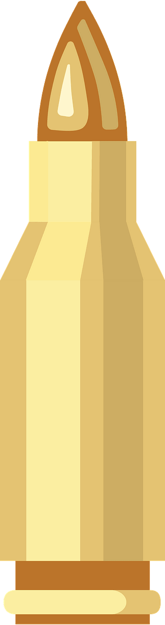 Bullet
