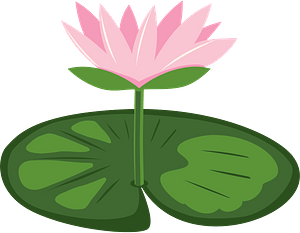 Lily pad