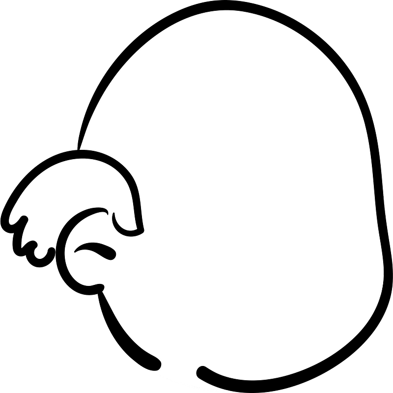 No Hair