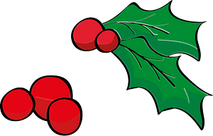 Cranberry