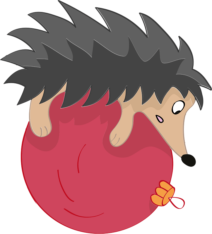 Hedgehog on Christmas Ball