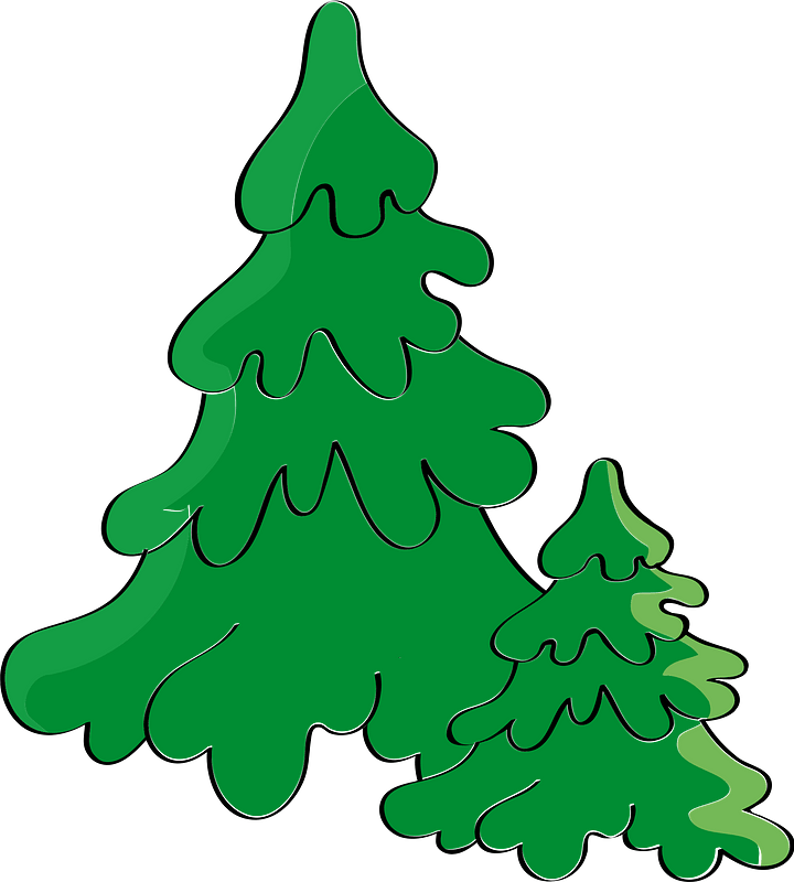 Two Christmas Trees