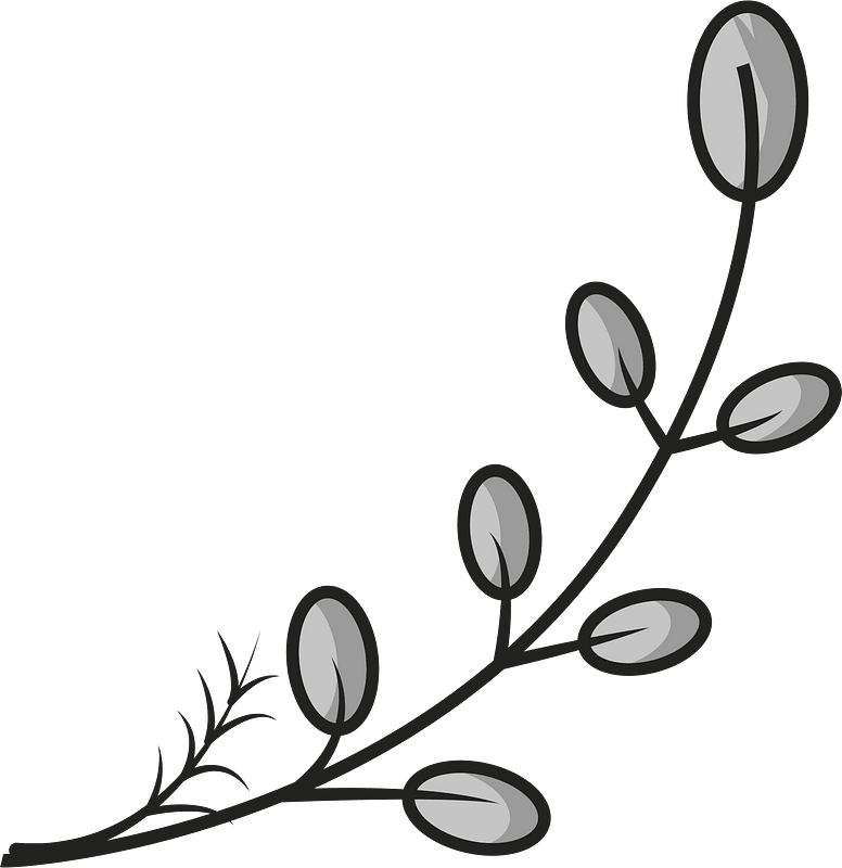 Twig