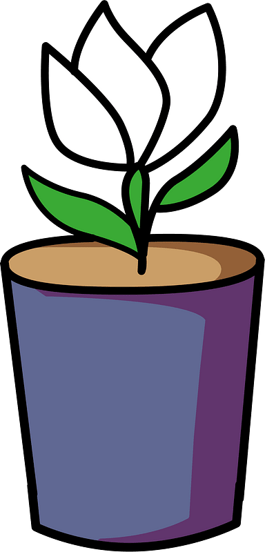 Flower in a Pot