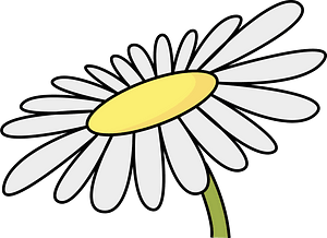 Blomma