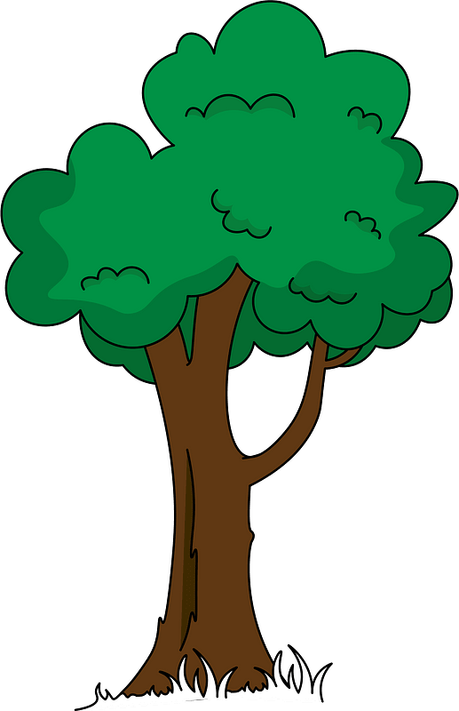 Pohon