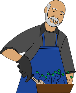 Farmer with Seedlings