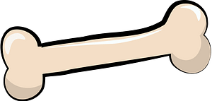 Bone Toy