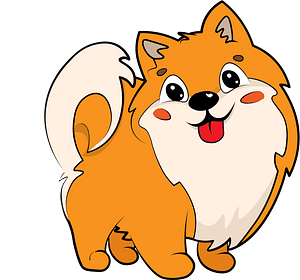 Pomeranian Puppy