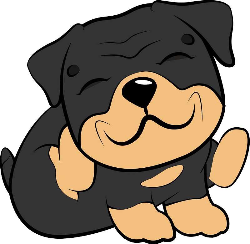 Rottweiler Puppy