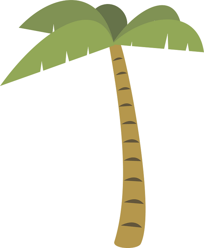 Palm