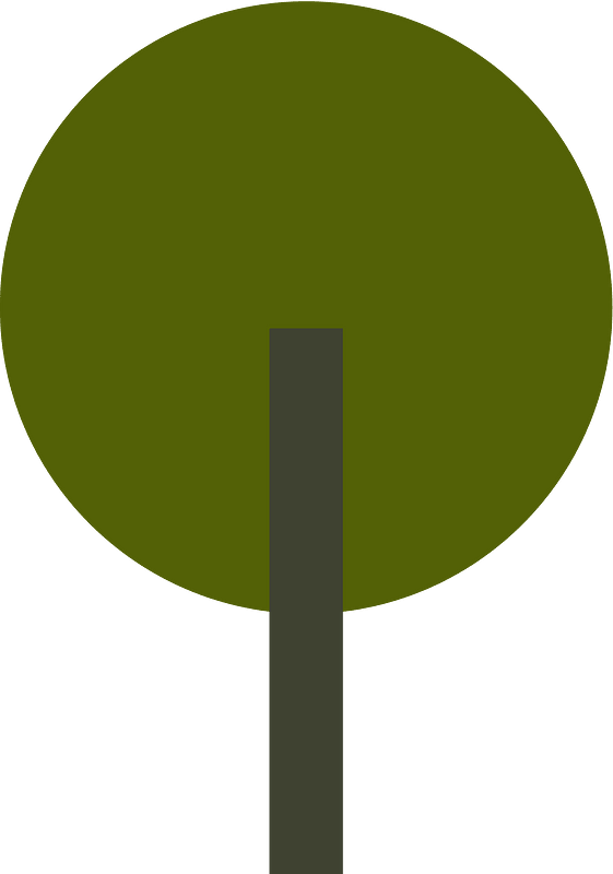 Дерево