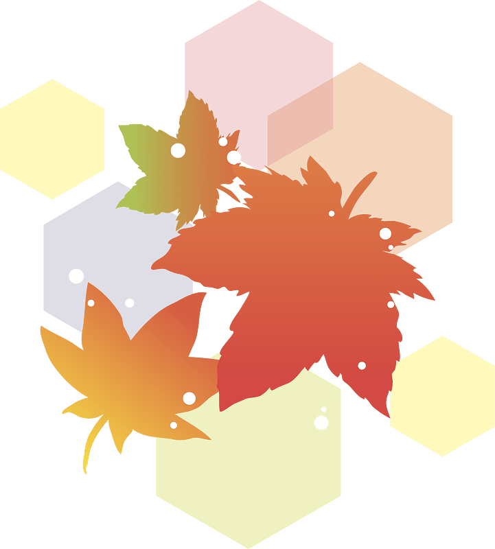 Autumn Maple Leaves