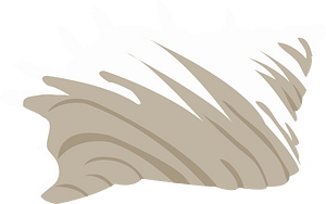 Beach Shell