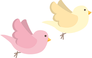 birds fly