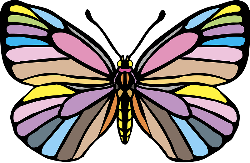 Butterfly - Free vector clipart images on creazilla.com