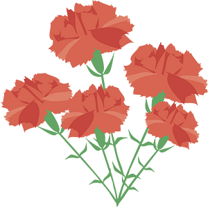 Carnation