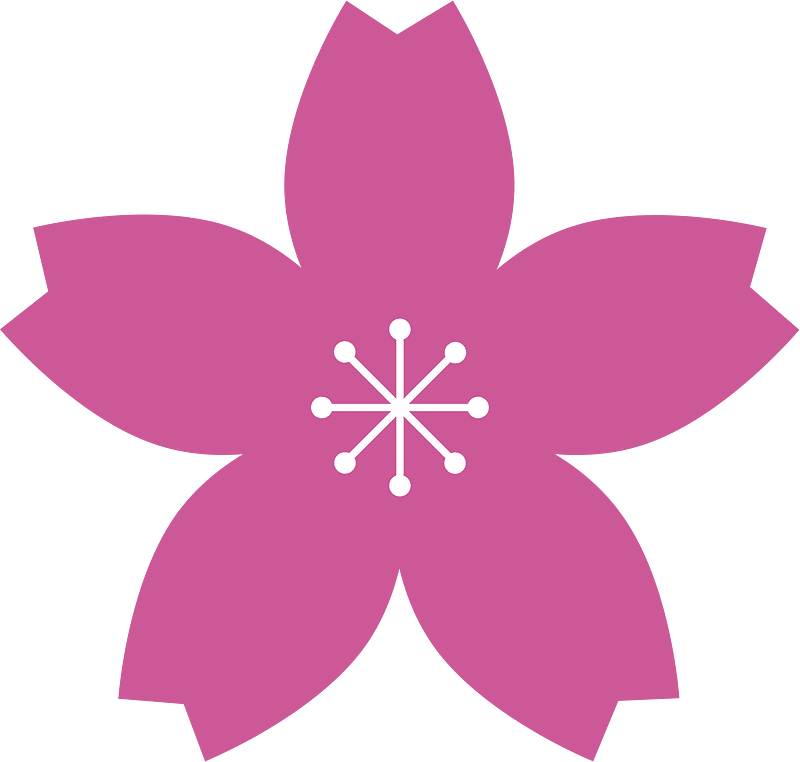 Cherry Blossom